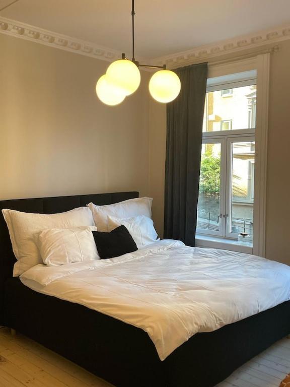 Lovely Central Apartment With Two Large Bedrooms Nearby Oslo Opera, Vis A Vis Botanical Garden Extérieur photo