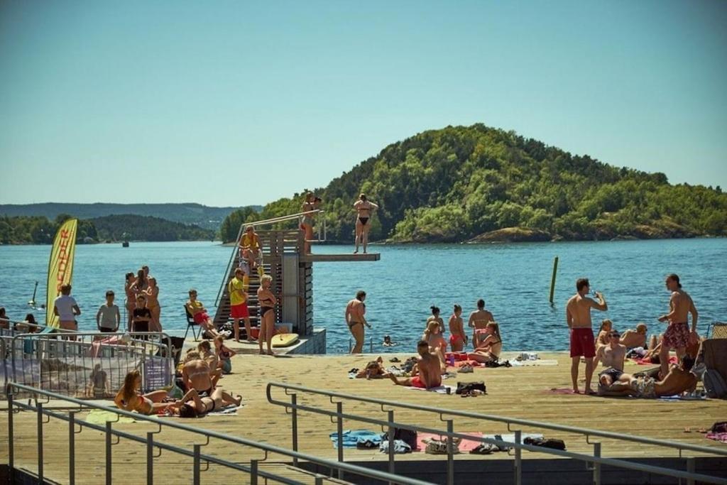 Lovely Central Apartment With Two Large Bedrooms Nearby Oslo Opera, Vis A Vis Botanical Garden Extérieur photo
